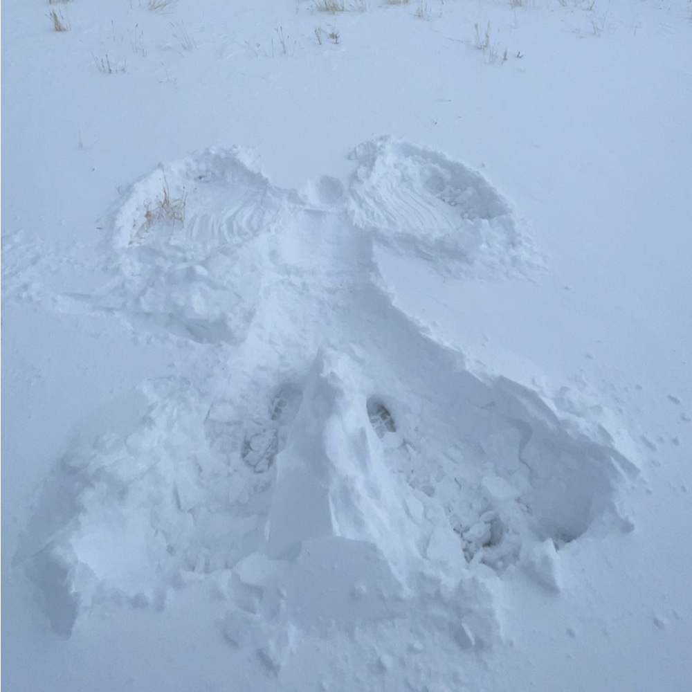 Meet your Posher, Matt